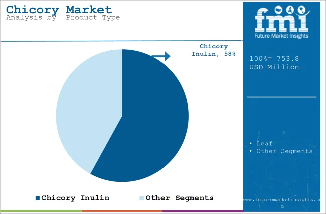 Chicory Market  Analysis By  product Type